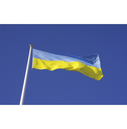Ukraina Flagga