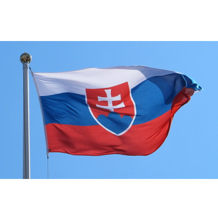 Slovakien Flagga Tryckt