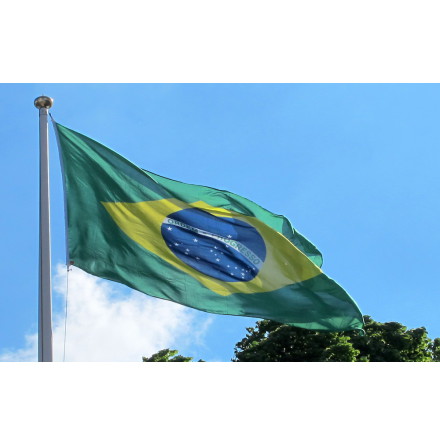 Brasiliens Flagga