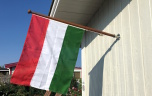 Ungerns Flagga