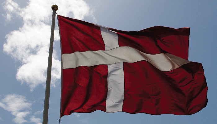 Danmarks flagga 300cm